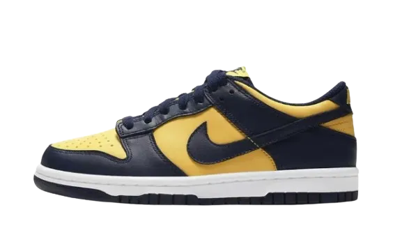 Nike Dunk Sneakers