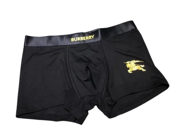 Lenjerie Burberry