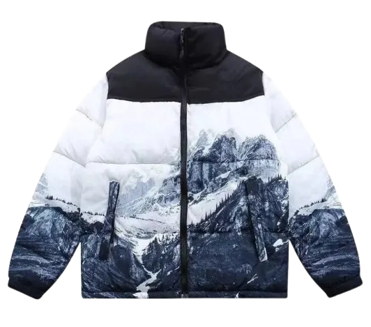 The North Face 1996 Retro Winter Jacket