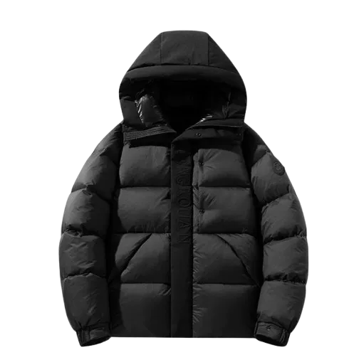 Geacă de iarnă Moncler