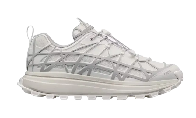 Dior B31