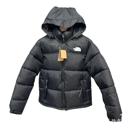The North Face Winter Jacket