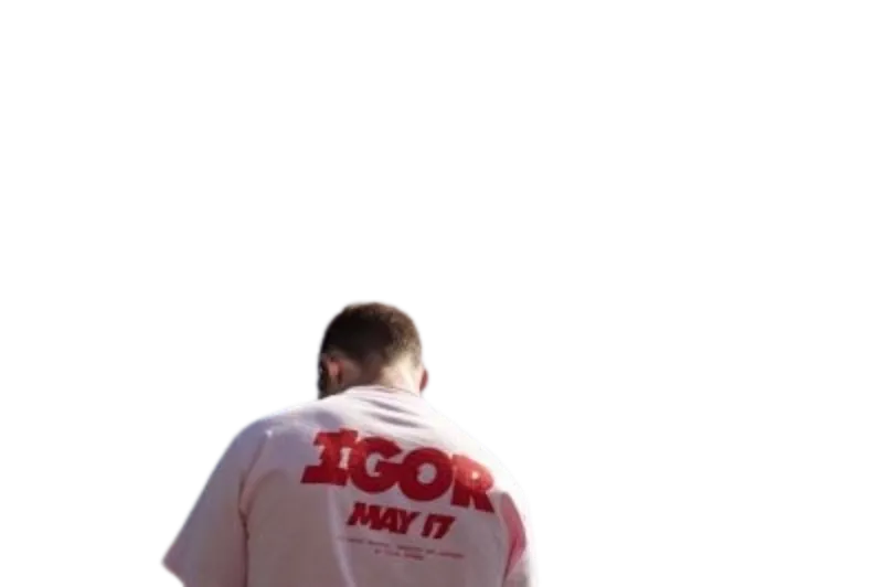Tricou Igor