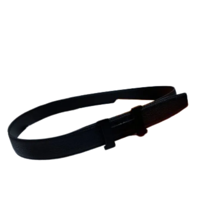 Hermes Belt