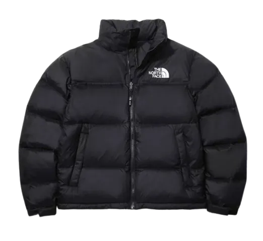 The North Face Winter Jacket