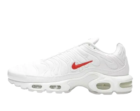 Nike Air Max Plus Tn Sneakers