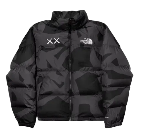 Kaws x The North Face Winter Jacket