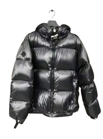 Moncler x Alyx Winter Jacket