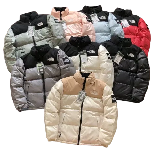 The North Face Winter Jacket