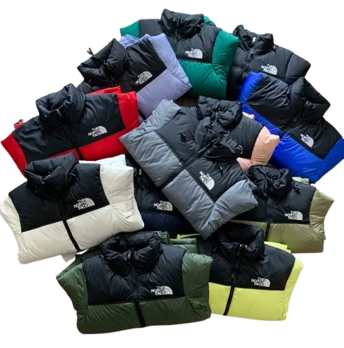 The North Face Winter Jacket