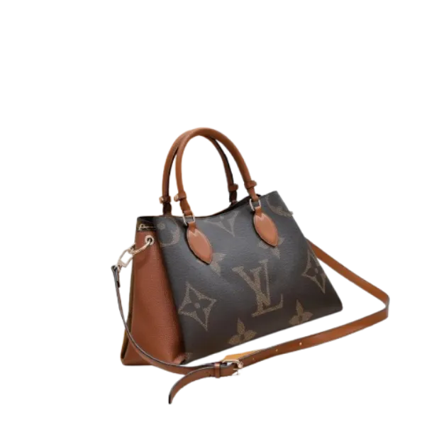 Louis Vuitton 6 Bag