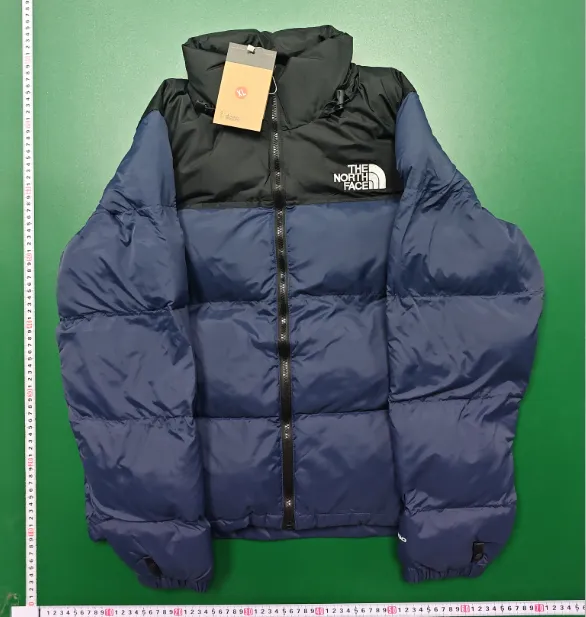 The North Face Winter Jacket