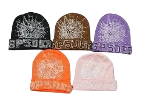 Sp5der Beanie