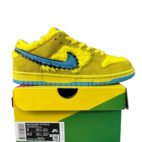 Nike Dunk SB Sneakers
