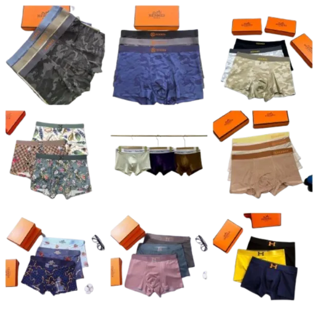 Hermes 1 Underwear