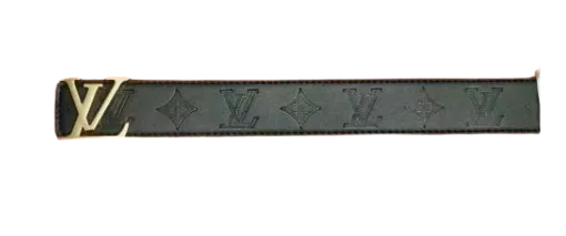 Louis Vuitton Belt