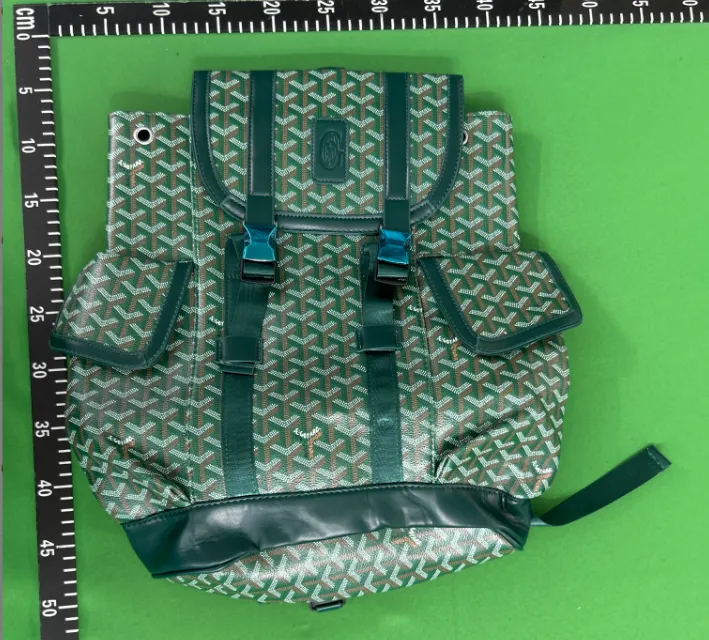 Ghiozdan Goyard