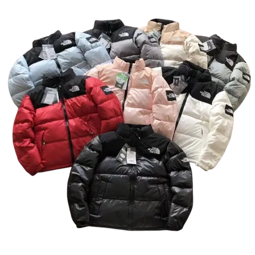 The North Face Winter Jacket