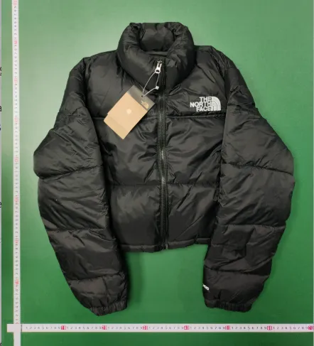 The North Face Winter Jacket