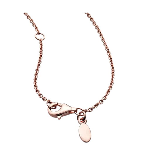 Pandora Necklace
