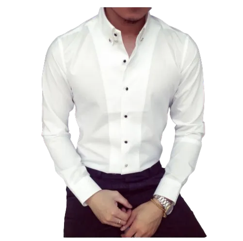 Silk Shirt