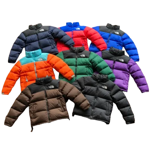 The North Face Winter Jacket