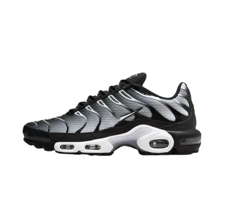 Adidași Nike TN