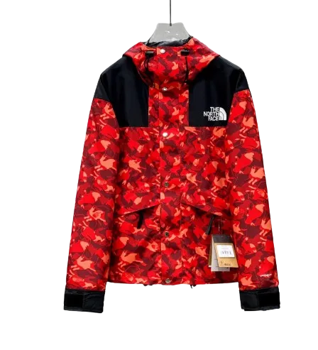 The North Face Winter Jacket