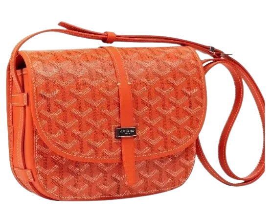 Geantă Goyard