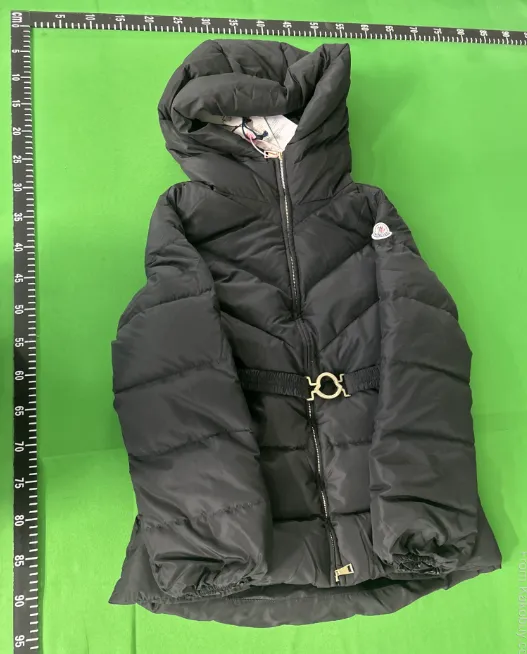 Moncler Brosse Winter Jacket
