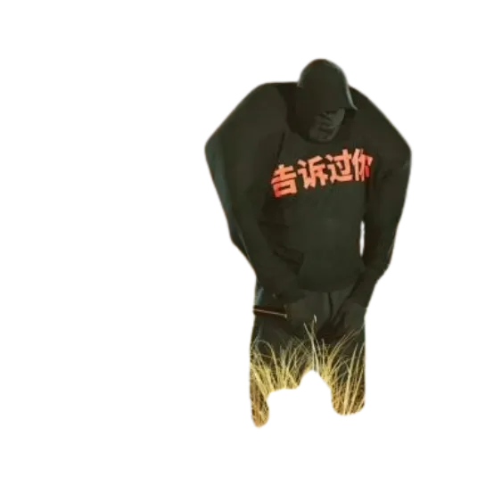 Told You Hoodie
